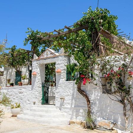 Itonia House Villa Amorgósz Kültér fotó